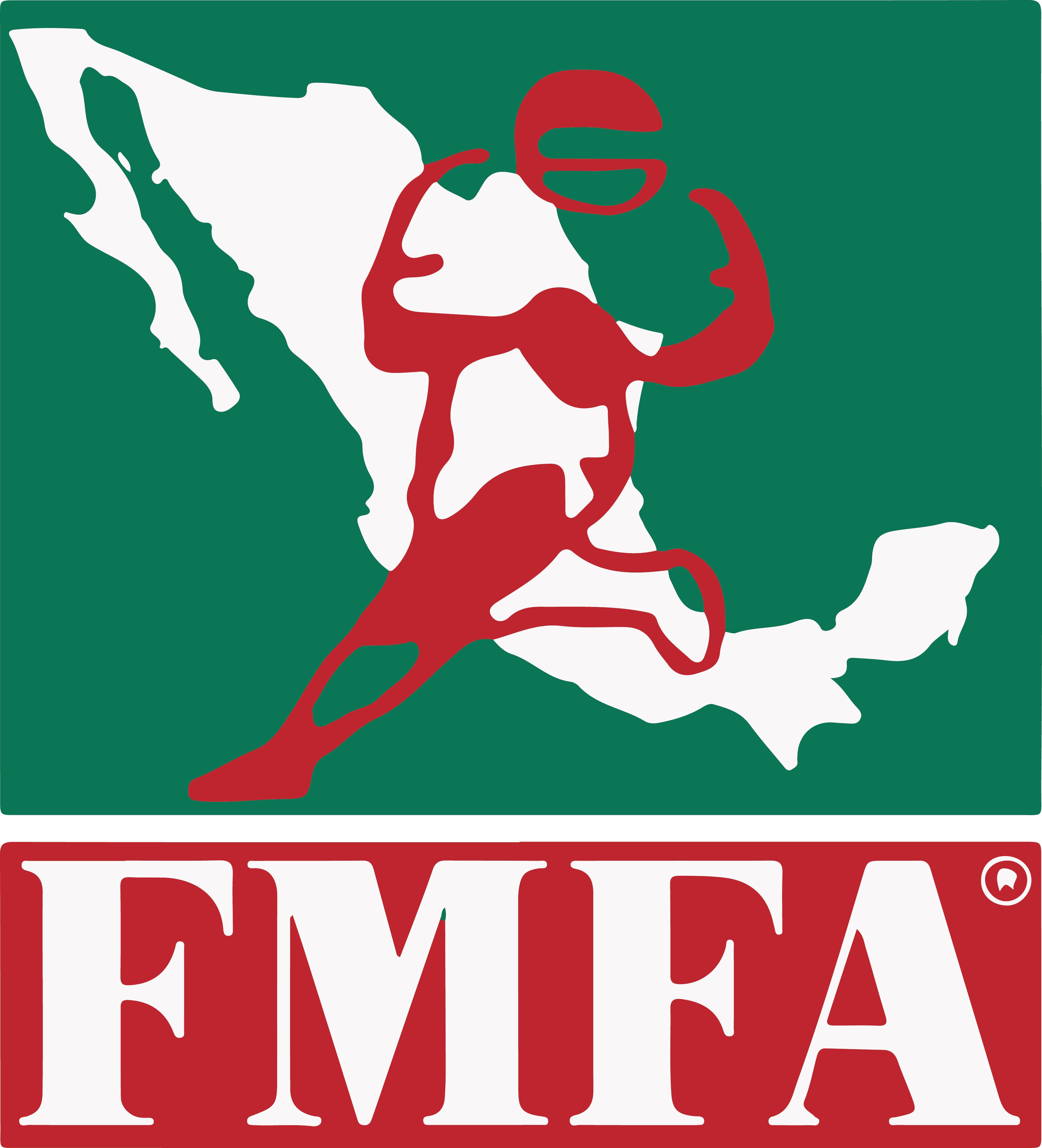 Logo de FMFA